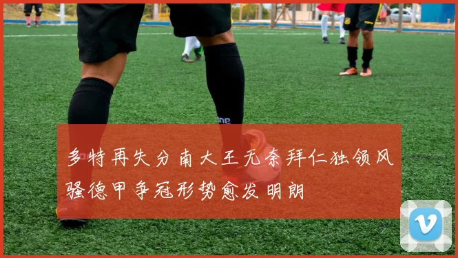 多特再失分南大王无奈拜仁独领风骚德甲争冠形势愈发明朗