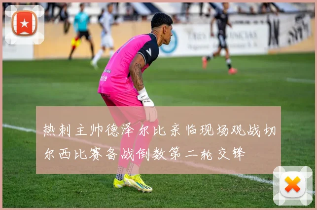 热刺主帅德泽尔比亲临现场观战切尔西比赛备战倒数第二轮交锋